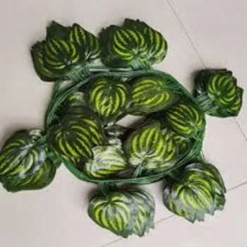 Designer Artificial Leaf